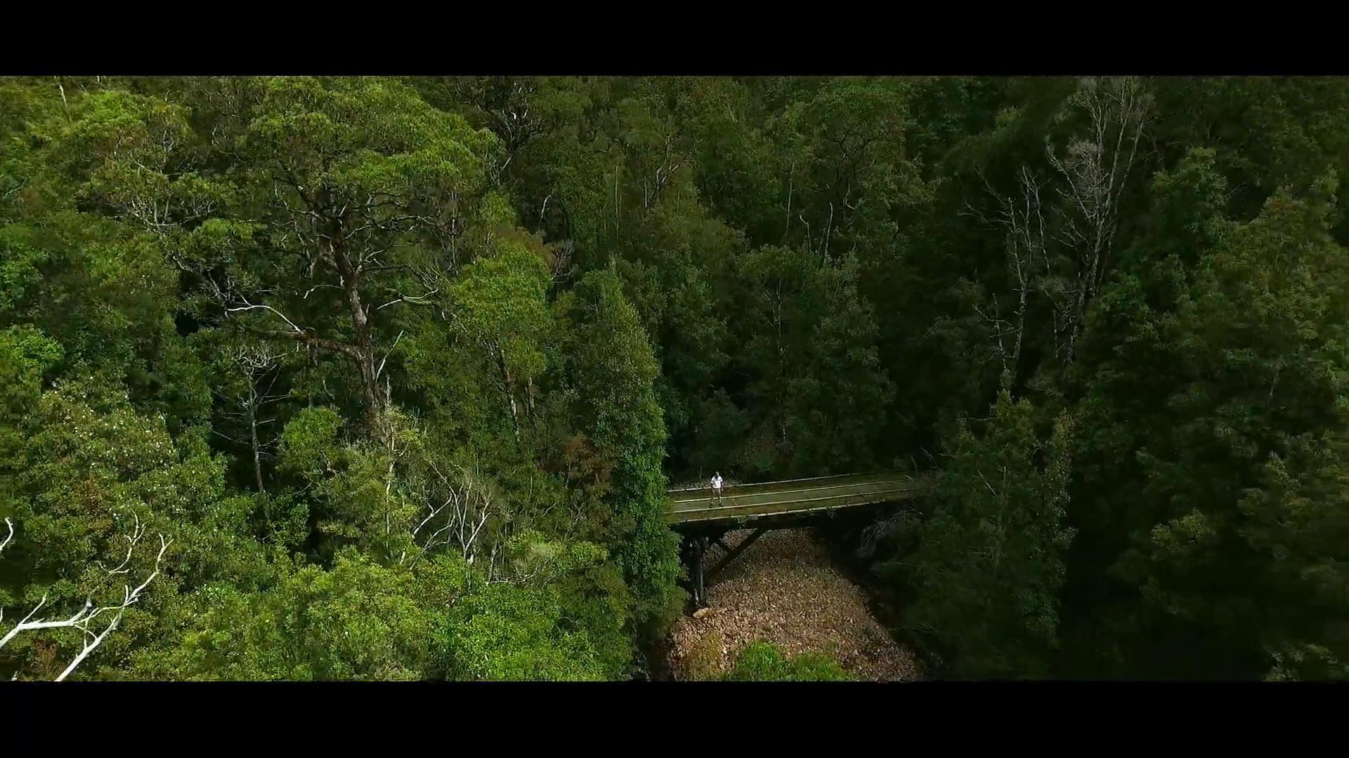 Tourism Tasmania